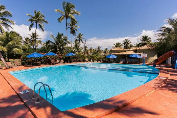 Piscina ampla com palmeiras ao redor