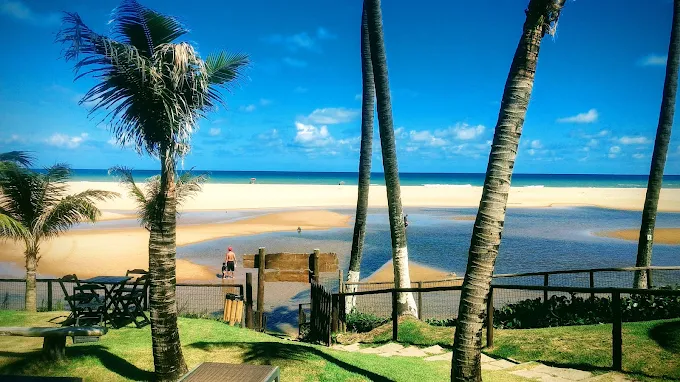 Vista da praia privativa com coqueiros